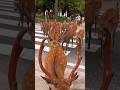 【世界も大注目】鹿の群れ横断します🦌奈良公園