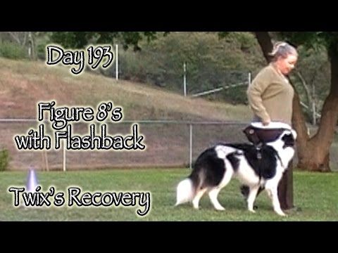 day-193:-figure-8's-with-flashback