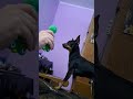 Реакция