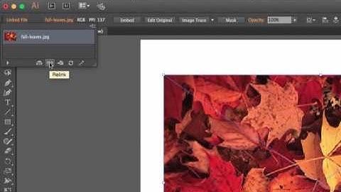 Illustrator: Placing and Embedding Images