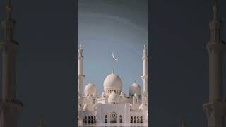 beautiful mosque 😍 #reels #viral #foryou #unfrezzmyaccount #dubai #mosque