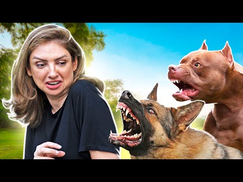 MORDIDA de CACHORRO, e agora? Socorro, Mari!