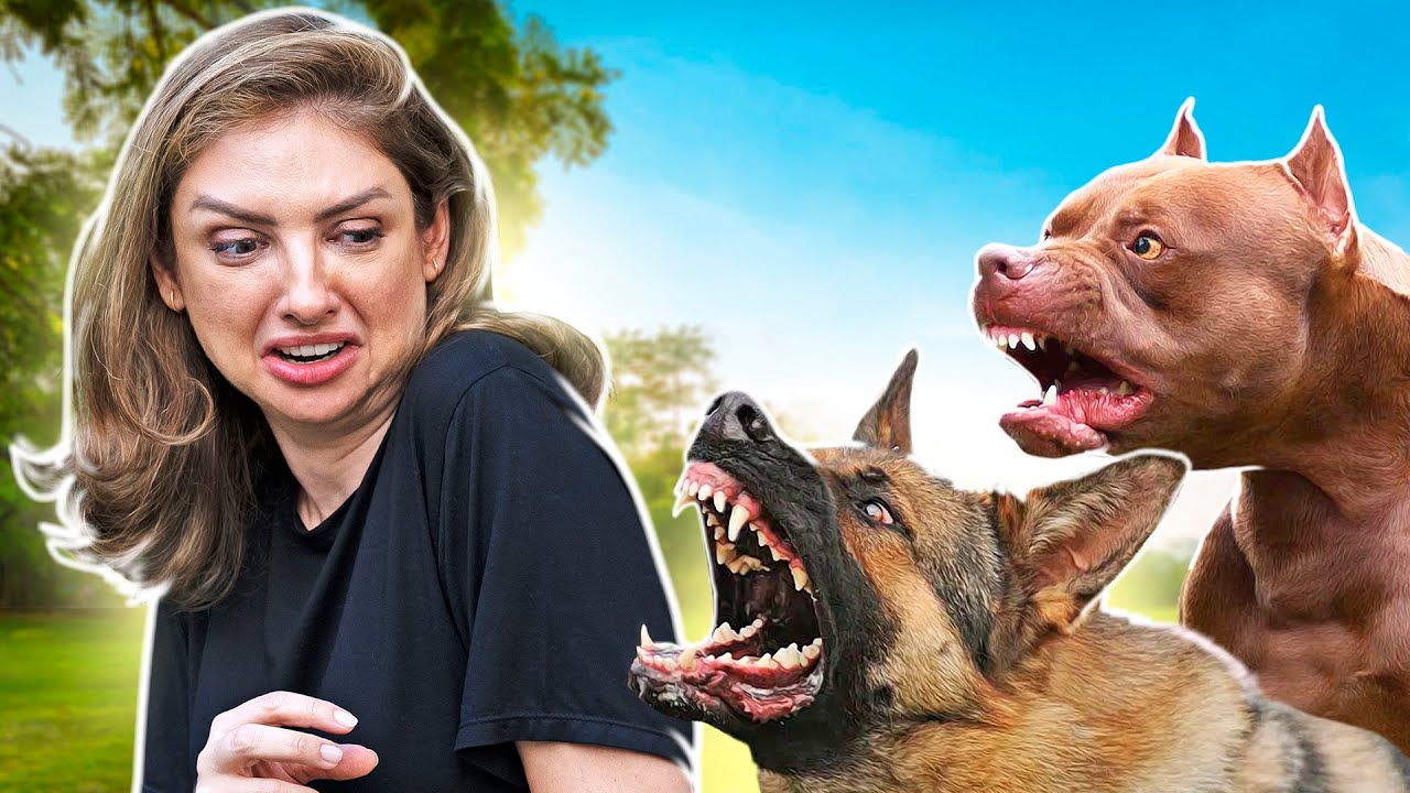 MORDIDA de CACHORRO, e agora? Socorro, Mari!