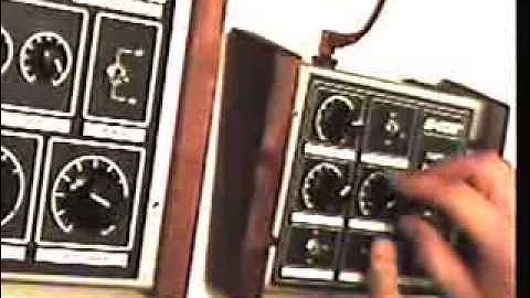 Twin 555 Dub siren with Analogue delay by s-cat.