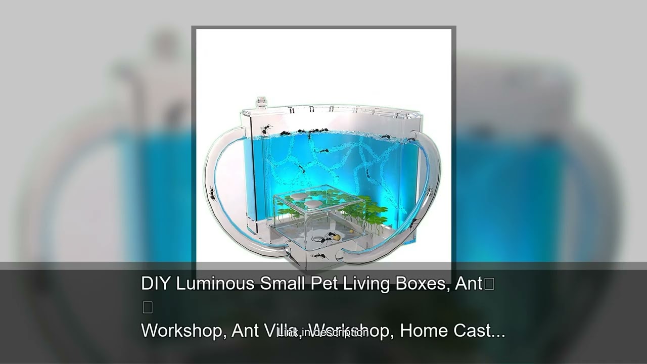 DIY Luminous Small Pet Living Boxes, Ant Workshop, Ant Villa, Workshop, Home Castle, Ant Farm,