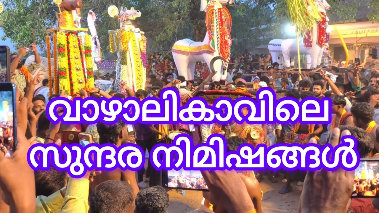 വാഴാലിക്കാവ് വേലയിലെ ചില സുന്ദര നിമിഷങ്ങൾ | Vazhalikkavu Vela 2025