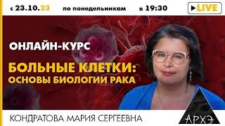 Мария Кондратова:  