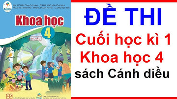 Đề Thi Cuối Học Kì 1 Khoa Học Lớp 4 | Năm Học 2023 - 2024 | Sách Cánh Diều