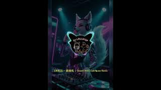LBI利比 - 跳楼机|ChanH 2025 LakHouse Remix