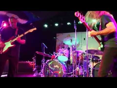 The Mermen - Miki's Lush Beehive (Live 2016)