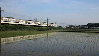 【走行シーン】早苗の水田地帯を行く415系