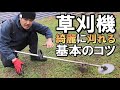 元植木屋が草刈りのコツをご紹介｜初心者向けの基本作業と使い方