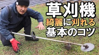 元植木屋が草刈りのコツをご紹介｜初心者向けの基本作業と使い方