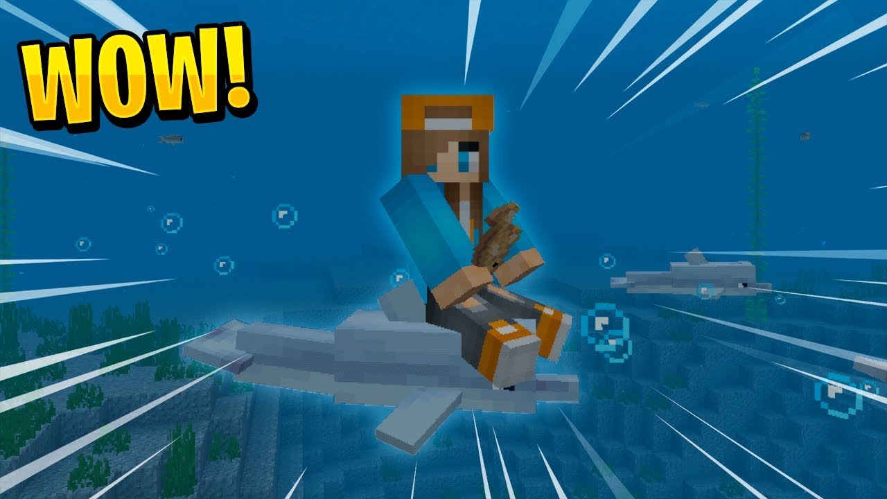 Can You Tame A Dolphin In Minecraft Pc How To Ride Dolphins In Minecraft Mcpe Aquatic Concept Addon Pe Win10 Youtube