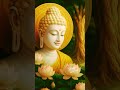 समय सब दिखा देता है | Buddh Kehte Hain | Truth of Life #shorts