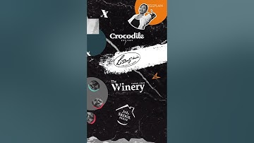 Plexxie Collage Animation 2023