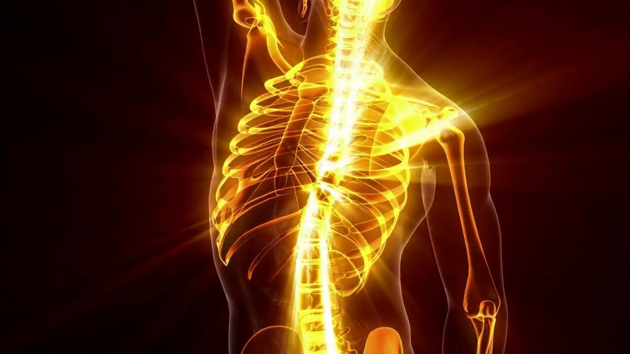 3 исцеление костей и мышц. 3 исцеление костей и мышц