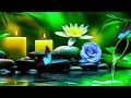 Relaxing Music for Sleep, Focus and Healing 🌿 Calming Nature Sounds for Work, Meditation and Peace