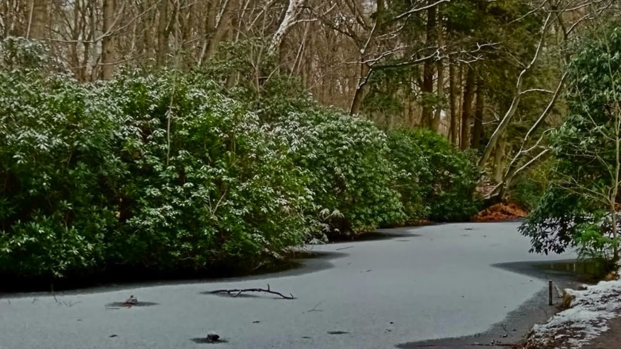 Quasi una ninna nanna