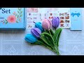 Tulips pipe cleaner flowers kit#crafttok #diyflowers #pipecleanercrafts  #giftideas