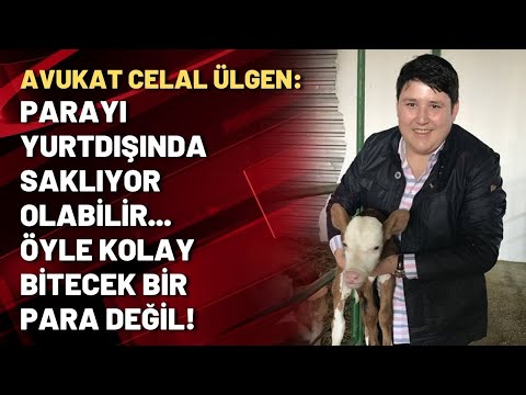 Avukat Celal Ülgen: Parayı yurtdışında saklıyor olabilir... Öyle kolay bitecek bir para değil!