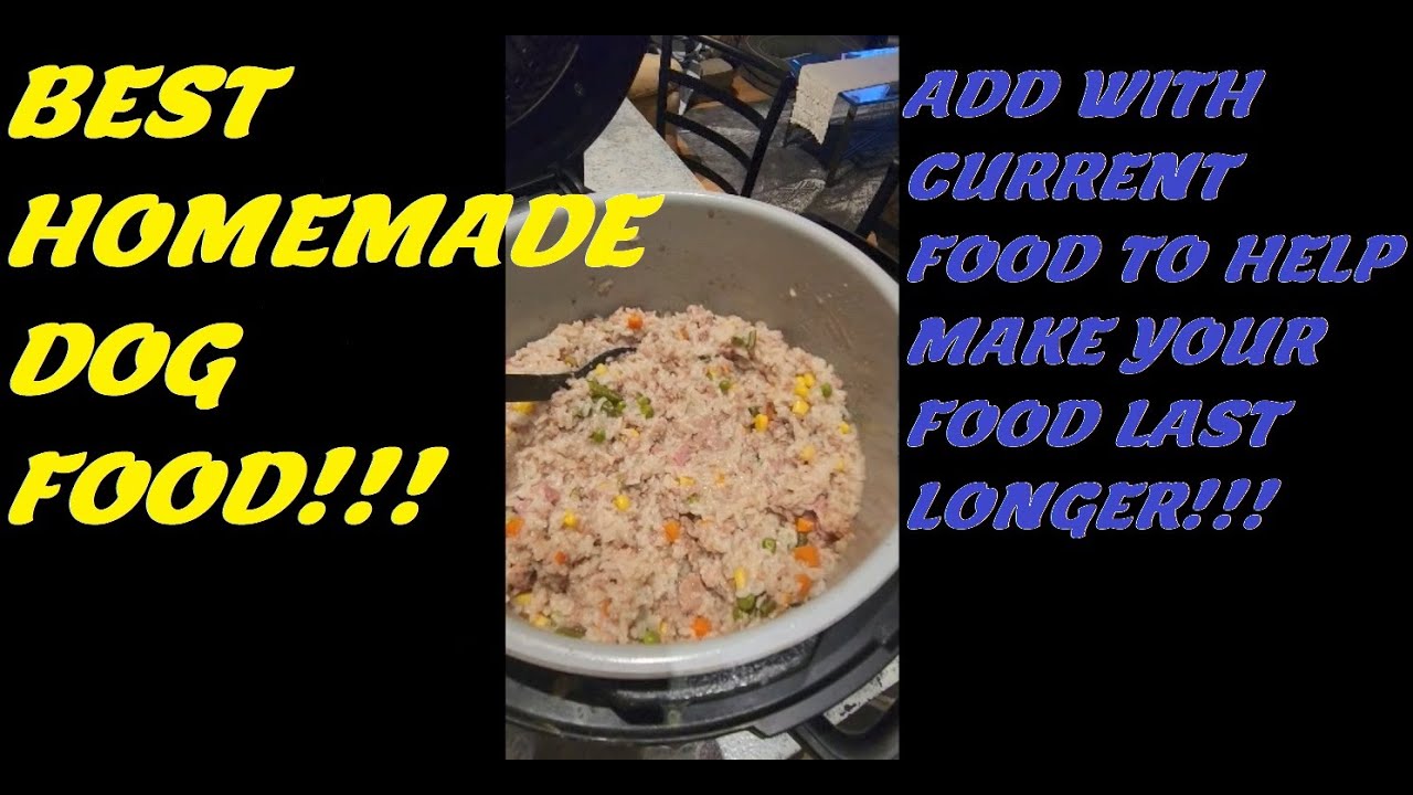 BEST HOMEMADE DOG FOOD VET APPROVED YouTube