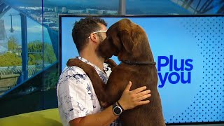 3 Plus Your Pets- Humane Educational Society