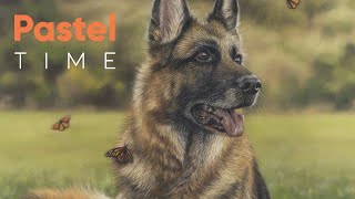 German Shepherd Dog on Grass in Soft Pastel - Timelapse with Narration screenshot 2