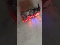 I Stole This From Tiktok CCTRO Https Vt Tiktok Com ZSSRYTudS I Stole This From Tiktok CCTRO Https Vt Tiktok Com ZSSRYTudS