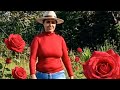 Se você gosta de roça esse vídeo é pra você vem ver 👀 👆👆arrumamos irrigação no cafezim 🌿