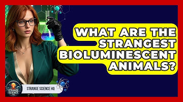 What Are The Strangest Bioluminescent Animals? - Strange Science HQ