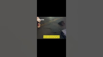 Giải pháp scan 3D đo kiểm chi tiết cơ khí chính xác 100% #quet3D #thietkenguoc #quet3D #shorts