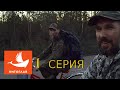 КИТОГЛАВ, ГРИБАБАС И КЛЮКЕР ИДУТ В ПОХОД ЗА МОРОШКОЙ-1 СЕРИЯ-ВЕЛОСИПЕДЫ