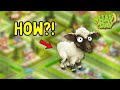 Hay Day Lambs Update Explained How to Find Woolly 