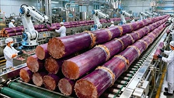 How They Harvest Sugarcane for Sugar: Inside a Cane Sugar Factory (Full Process)