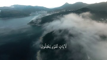 قرآن كريم بصوت جميل جداً || أجمل حالات واتس اب دينيه || تلاوة خاشعة