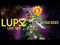 LUPS SET #8 - 21/02/2023