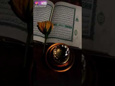 يارب صلي على النبي والهي