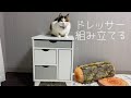 【LOWYA 】猫と力を合わせてドレッサー組み立てからレビューまでするよ〜