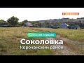 «Сельский порядок». Соколовка Корочанского района (29.07.2020)