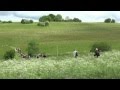Ref:LdhSw_0Jmb8 Les longevilles mont d'or "doubs" randonnes