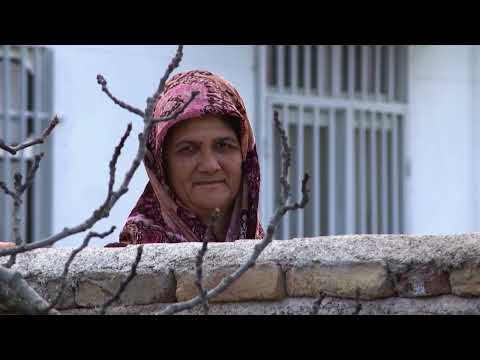 تصویری: راهنمای سفر شهرستان بلینگهام و واتکام