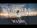 【歌詞付き】 抱き寄せ 高まる 君の体温と共に/WANDS 【リクエスト曲】