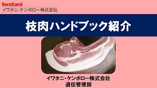 枝肉ハンドブック紹介