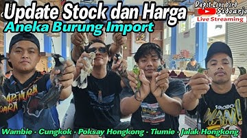 UPDATE HARGA BURUNG IMPORT !!! Wambie - Cungkok - Poksay Hongkong - Tiumie - Jalak Hongkong