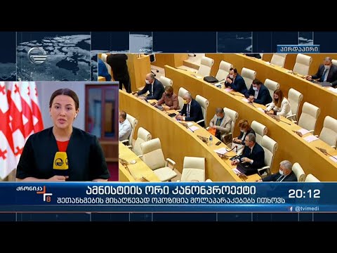 ამნისტიის ორი კანონპროექტი