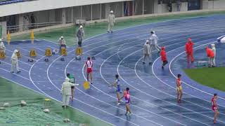 H29 関東高校新人 男子100m 決勝