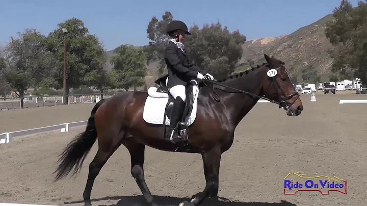 171D Amy Foreman on Playin It Cool Intro Dressage ...