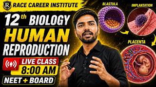 blastula,placenta&amp; implantation in Humans |  Class 12 Biology | Human Reproduction Full Explanation