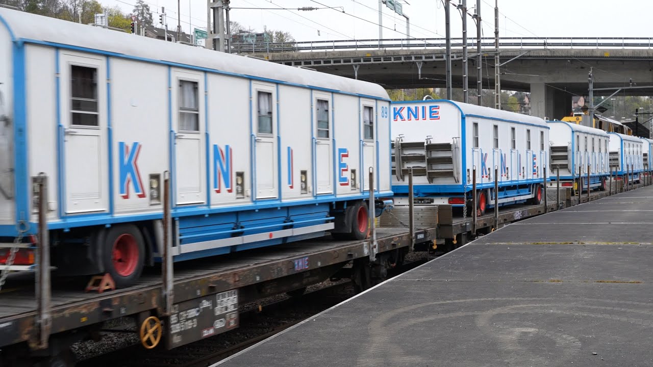 Circus  K N I E   Zug Schaffhausen